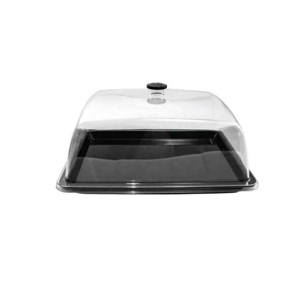 Σετ Βιτρίνα Ορθογώνια 32.5x17.6cm PC Με Μαύρο Δίσκο