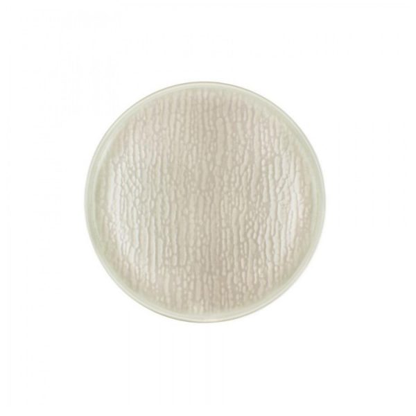 Πιάτο Ρηχό 19cm Πορσελάνης Μπεζ Capri Beige DG-465