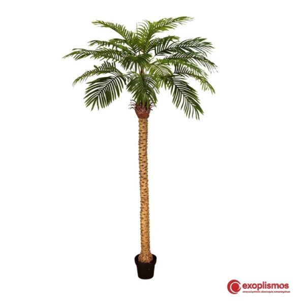 Δέντρο Φοίνικας Σε Γλάστρα 240εκ. Τεχνητό Φυτό Real touch